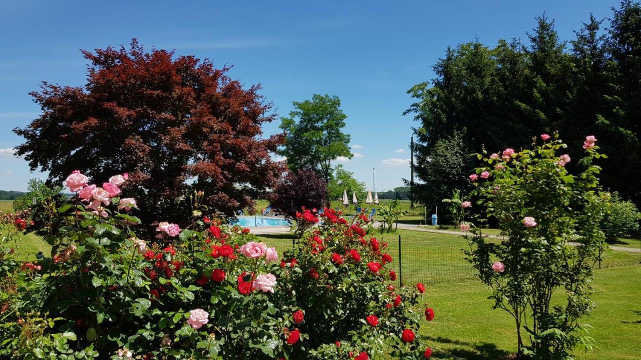 Gasthof Zum Lindenhof Bad Radkersburg Dış mekan fotoğraf